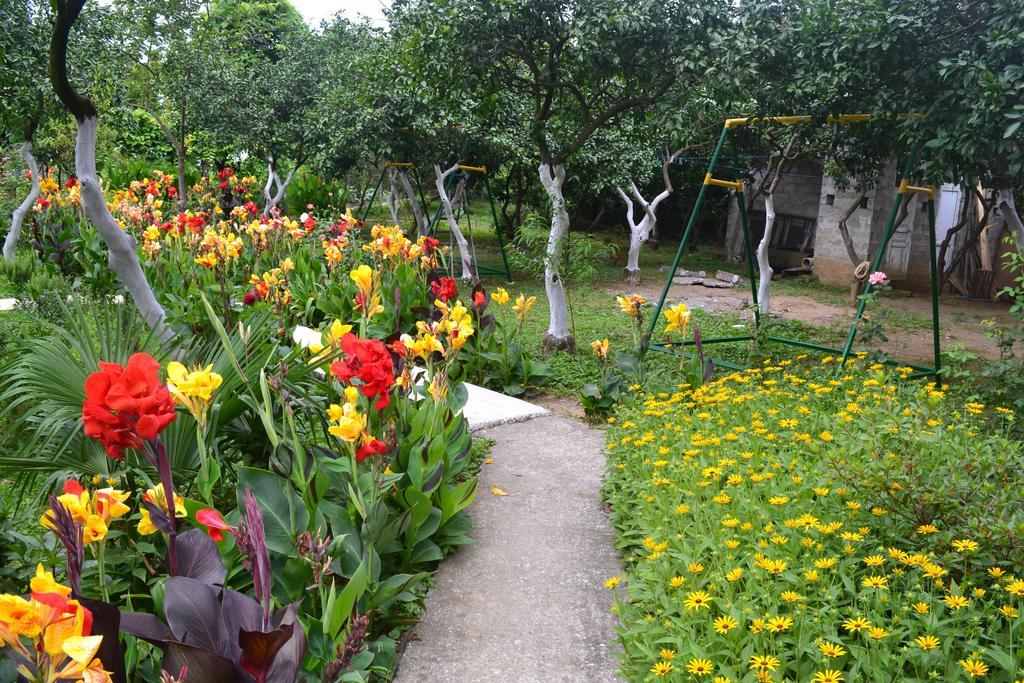 Kvariati Grand Guest House Gonio Ngoại thất bức ảnh